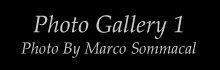 Marco's Photo Gallery