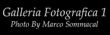 Marco's Photo Gallery