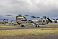 CH-47C EI-829 mm81230 & EI-834 mm81439