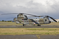 CH-47C EI-829 mm81230 & EI-834 mm81439
